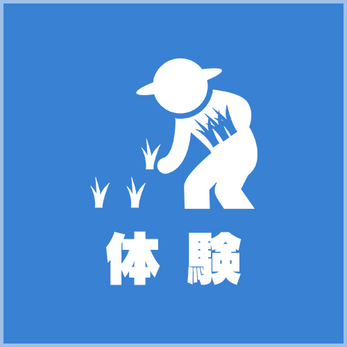 体験